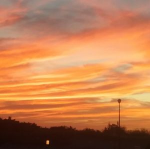 Meet your Posher, Romayne